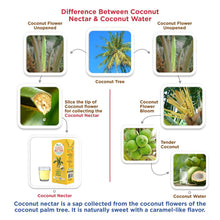 Load image into Gallery viewer, SDPMart Coco Neera (பதநீர்/தெழுவு) (Thenneera) 200ml
