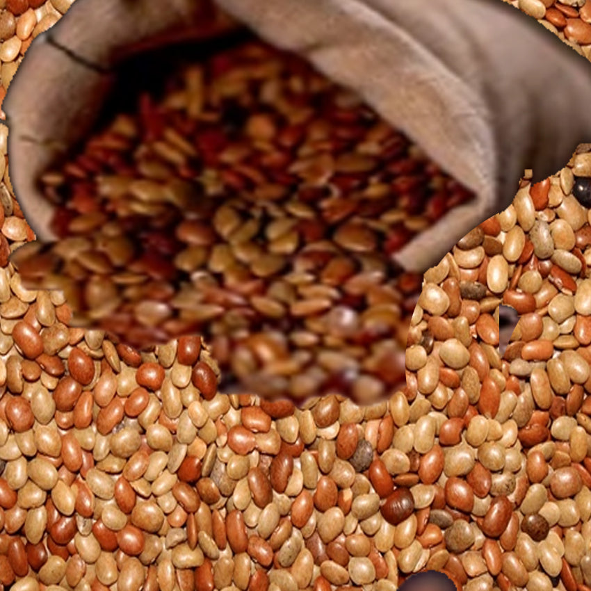 Horse Gram (Kollu) - 2LB