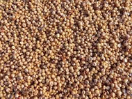 Sorghum Millet Grains-Parboiled-2lbs
