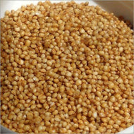 Premium Barnyard (Kuthiraivali/Jhangora) Millet - (2 LBS)